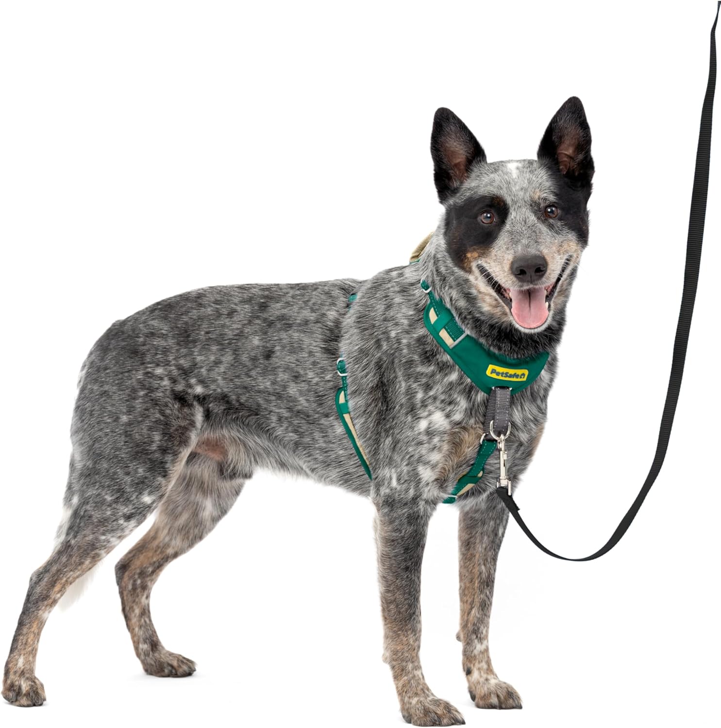 PetSafe Easy Walk Comfort No-Pull Dog Harness for Better Training