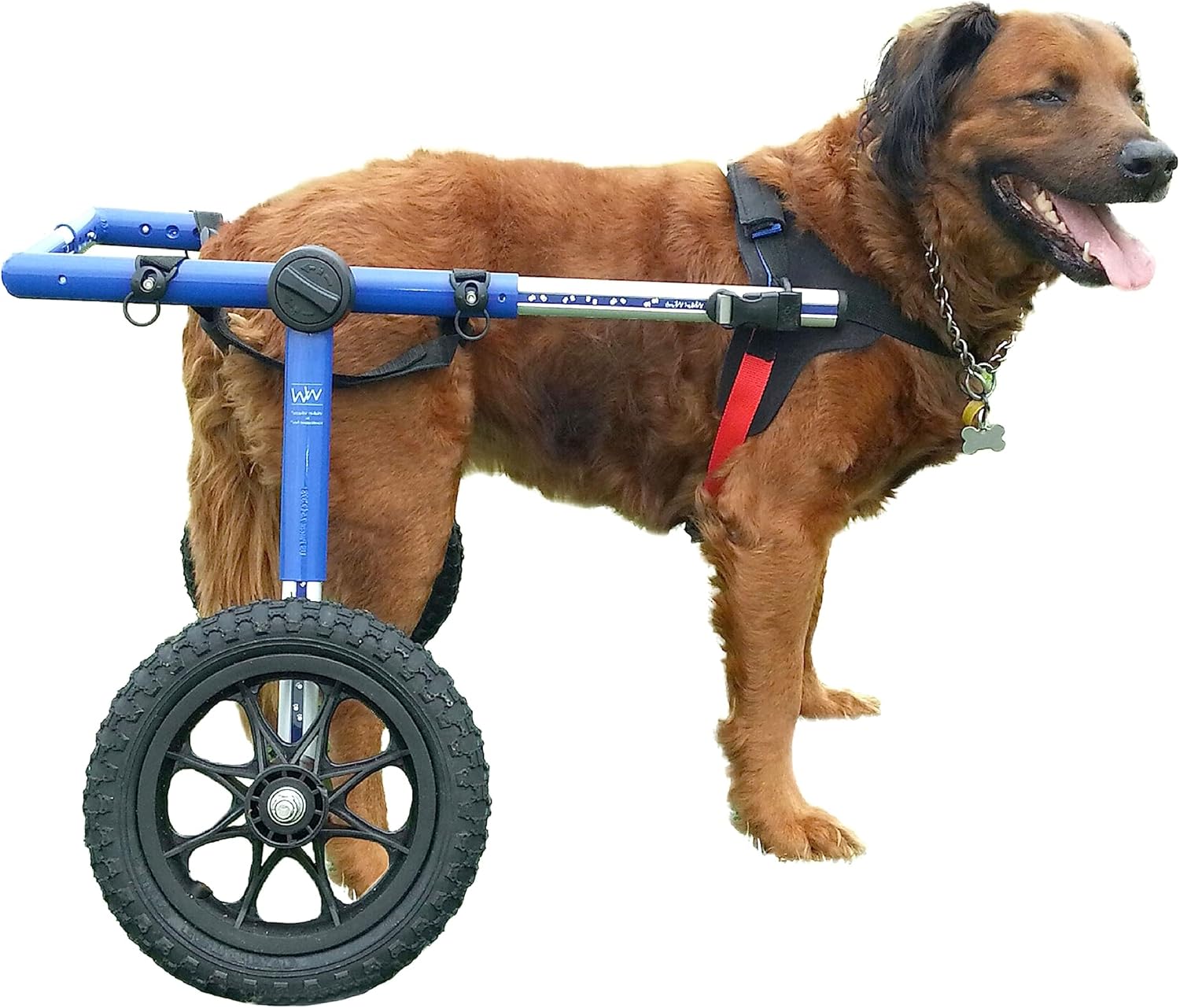 Dog Wheelchair for Large Dogs 70-180 Pounds - Veterinarian Approved