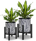 10 & 12 Inches Plant Pot with Stand Set of 2 - Tropical Palm Leaf