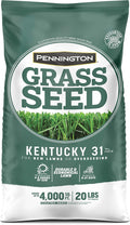 Pennington Kentucky 31 Tall Fescue Grass Seed 20 lb - Durable Lawn