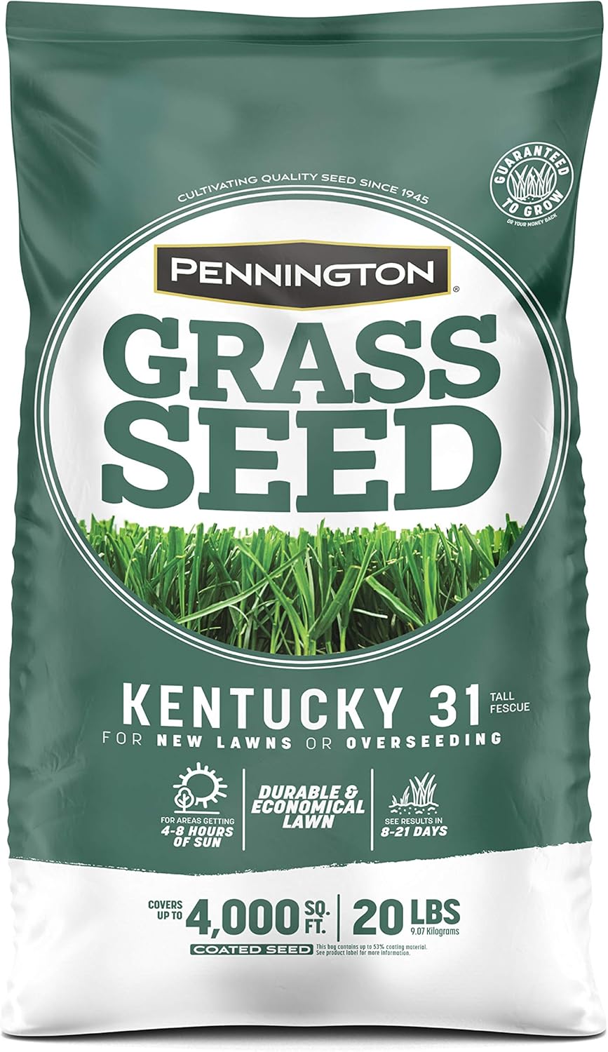 Kentucky 31 Tall Fescue Grass Seed for Durable Lawns