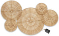 Boho Woven Jute Wall Baskets Set of 5 - Handwoven Wall Plates