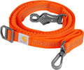 Carhartt Pet Durable Nylon Webbing Shock Absorbing Leash, Hunter