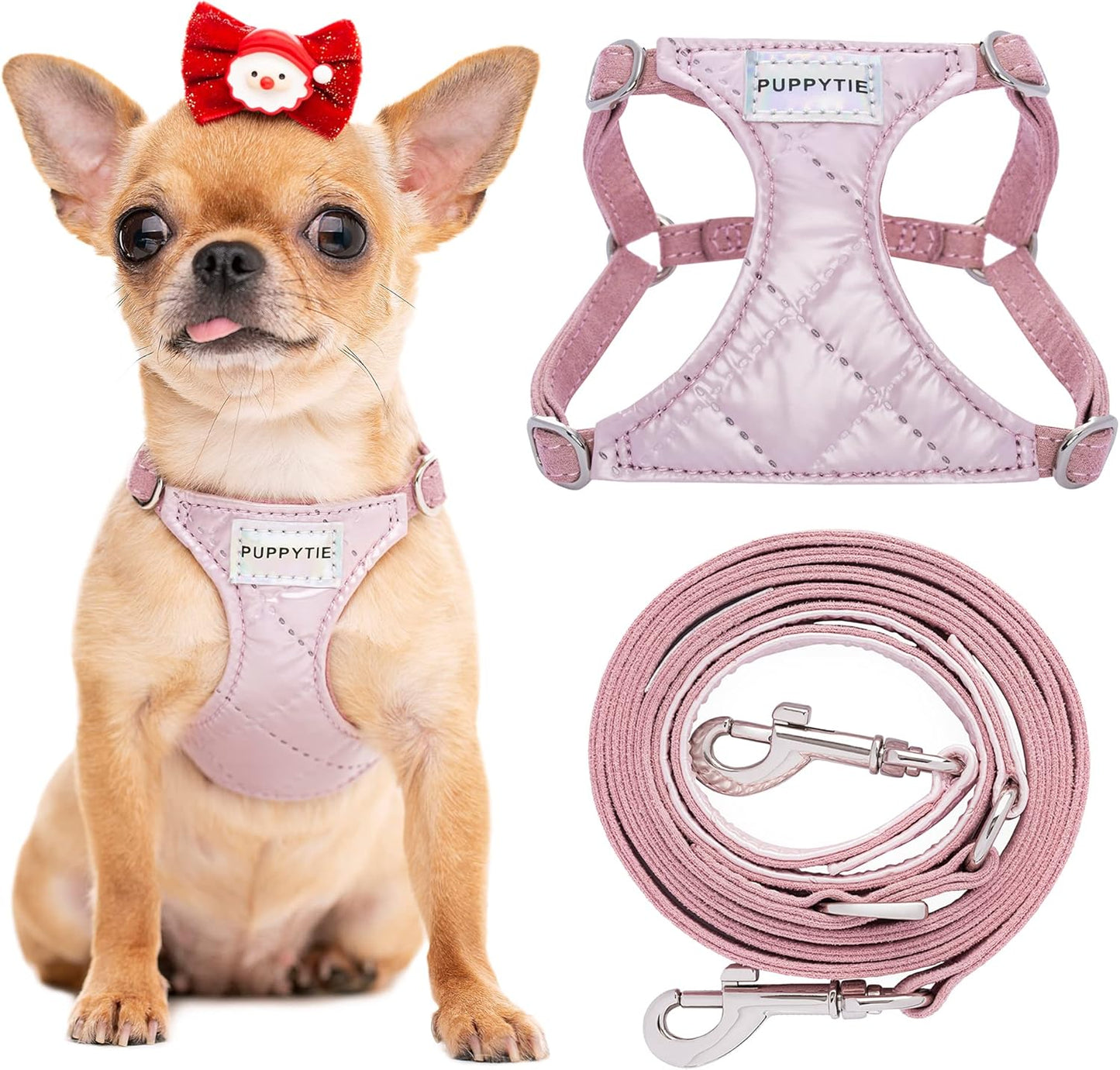 No Pull XS Dog Harness with Multifunction Leash for Small Dogs