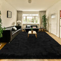 HOMORE Rugs for Living Room 6x9 Black Fluffy Area Rug - Super Soft