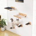 Space-Saving Cat Wall Shelves with Hammock & Dog Proof Feeding