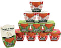 BUZZY Seeds Holiday Mini Terracotta Pots Grow Kit Review