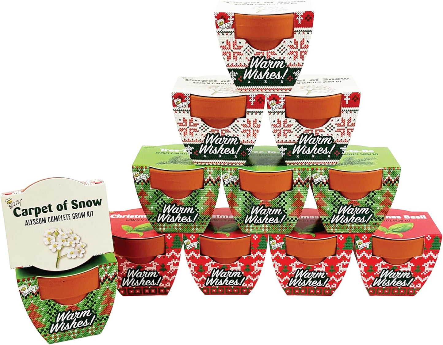 BUZZY Seeds Holiday Mini Terracotta Pots Grow Kit Review