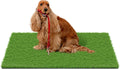 Fake Grass for Dogs Artificial Turf Mat 59in x 36in - Quick Clean