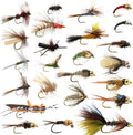 24 Fly Fishing Flies Assortment for Trout - 2 Dozen Ready Kit