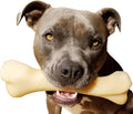 Nylabone Monster Bone Power Chew Toy for Dogs - Durable Chicken Flavor
