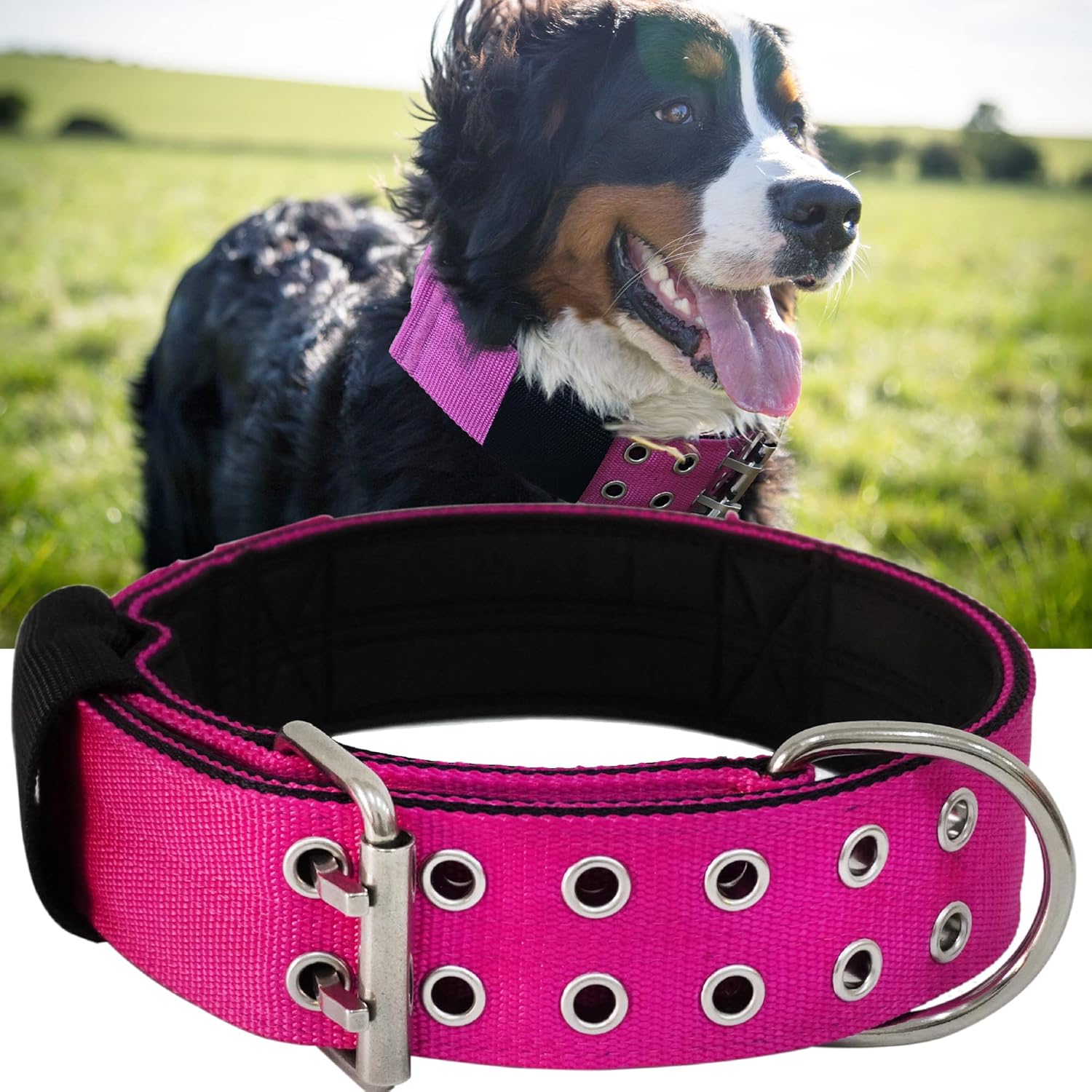 Dog Collar for Large Dogs - Heavy Duty Tactical Collar XL