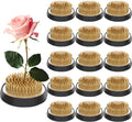 Sliner 16 Pieces Floral Frogs for Stunning Flower Arrangements