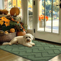 Indoor Door Mat 32x48 Non Slip Absorbent Entrance Rug - Low Profile