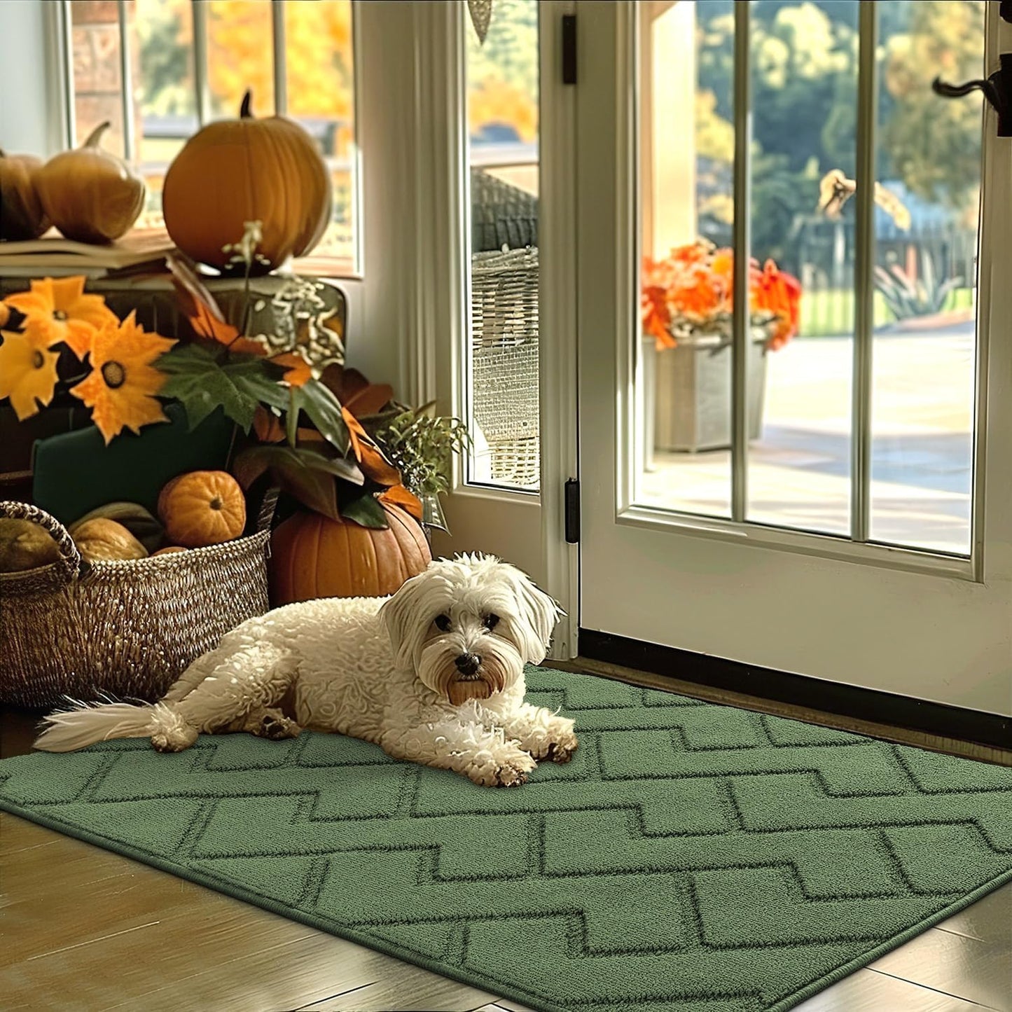 hicorfe Indoor Door Mat - Non Slip, Absorbent, Washable 32x48