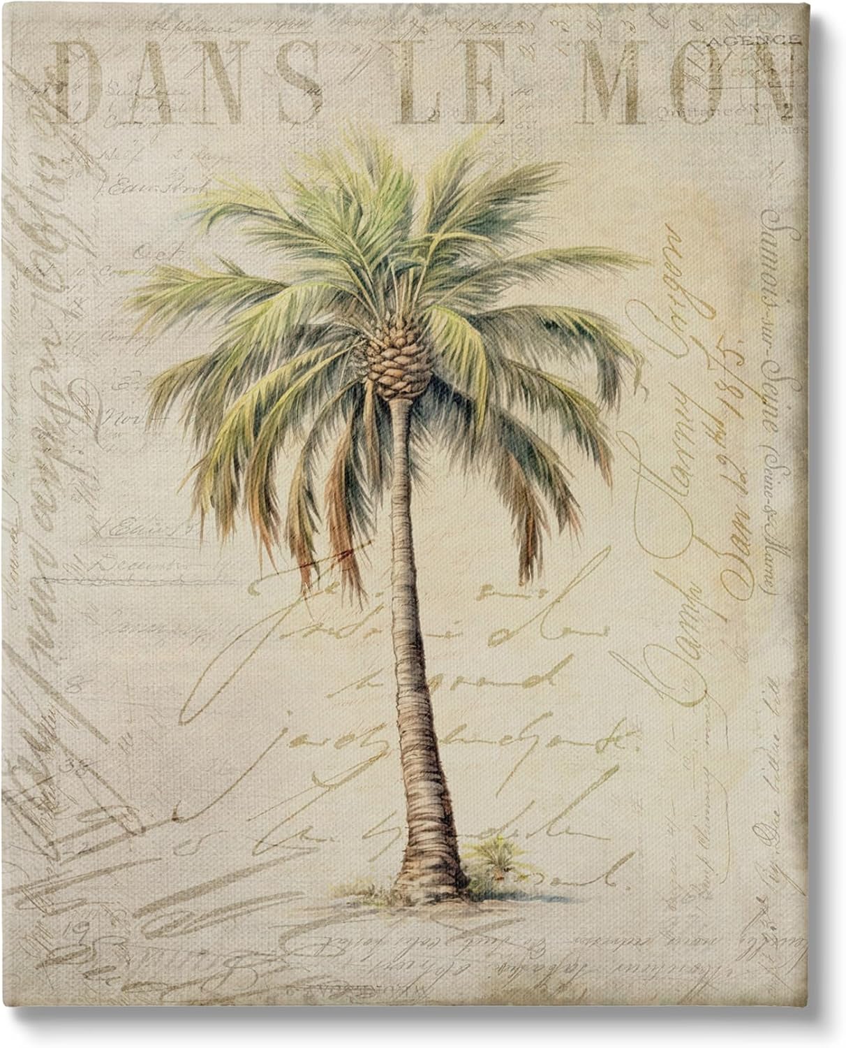 Vintage Palm Tree Canvas Wall Art by Andrea Haase for Home Decor