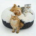 CATTASAURUS Peekaboo Cat Cave for Large Cats - Calming Large Bed