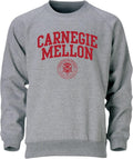 Barnesmith Crewneck Sweatshirt for College Heritage Logo - Cozy Shoes