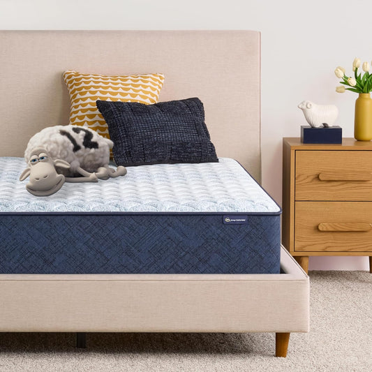 Serta Sleeptrue Firm 12 Twin Memory Foam Mattress in a Box
