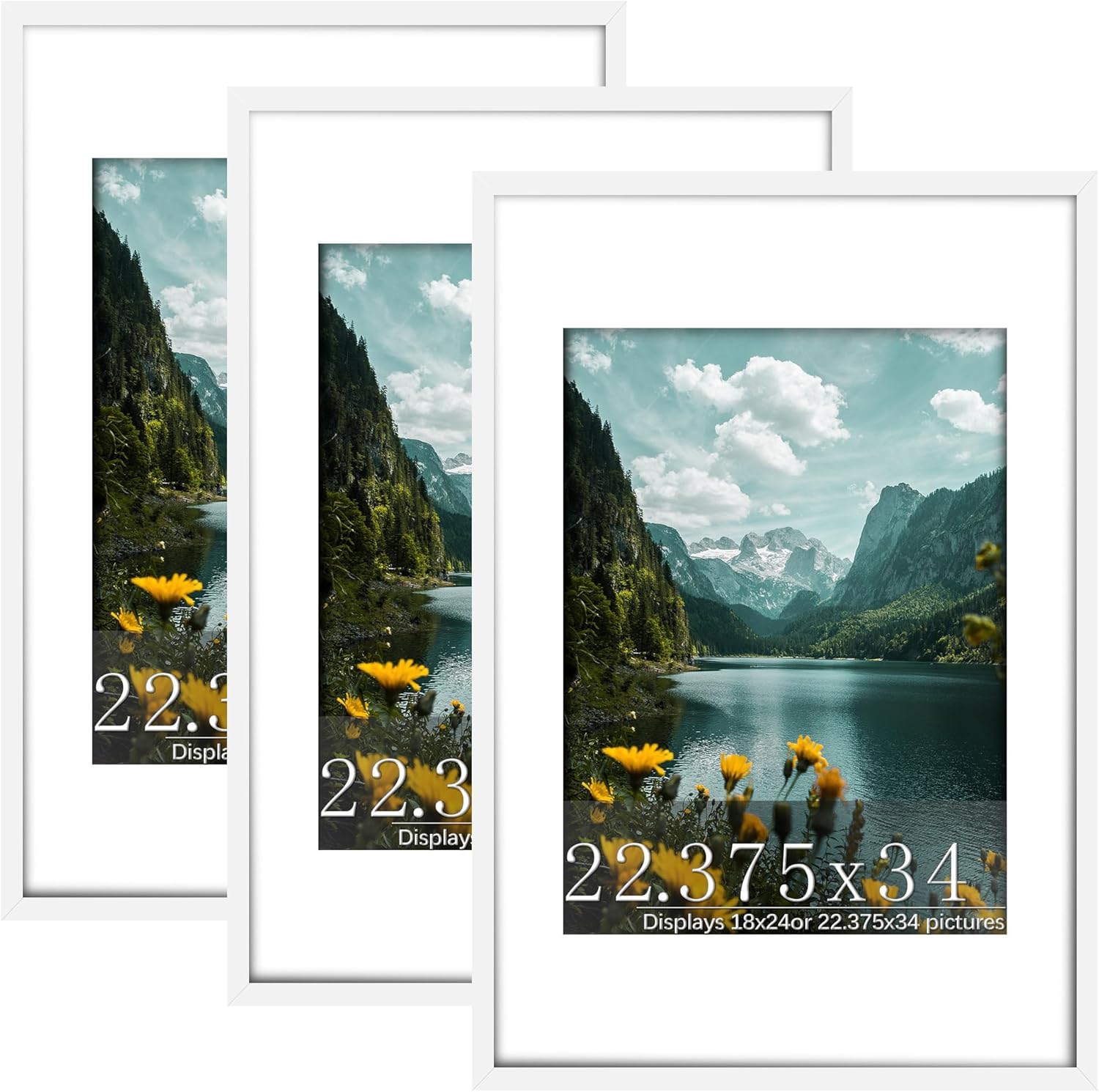 Flexible Charm 22.375x34 Picture Frame 3 Pack for Display