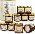 YINUO LIGHT 10 Pack Scented Soy Wax Candles - Aromatherapy Gift Set