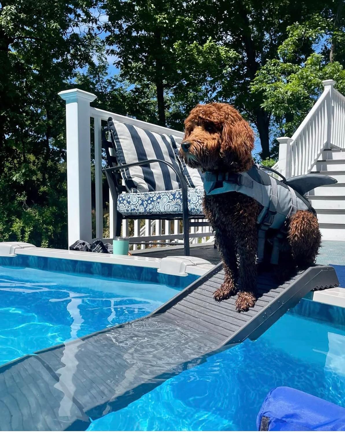 PetStep Dog Ramp for Pools - Durable & Non-Slip Design