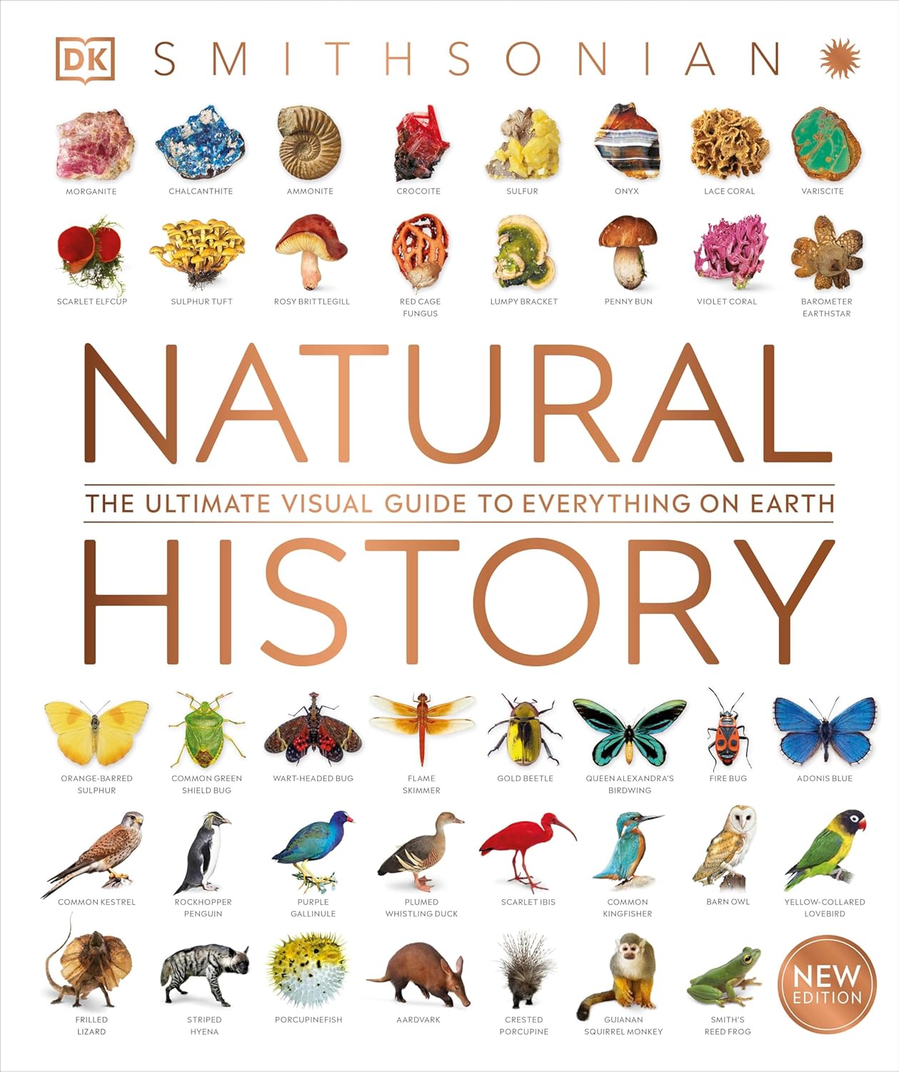 Natural History Visual Encyclopedia by DK - Explore Earth's Wonders