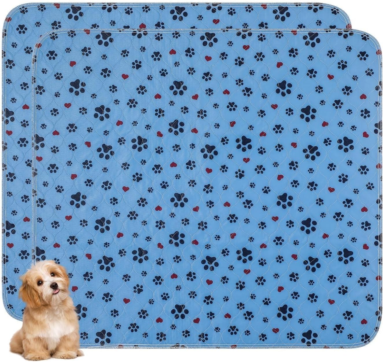 Washable Pee Pads for Dogs - Extra Large 48in x 48in Size