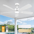 DAMINY 52 in Ceiling Fan with Light and Remote - Quiet DC, 6CCT