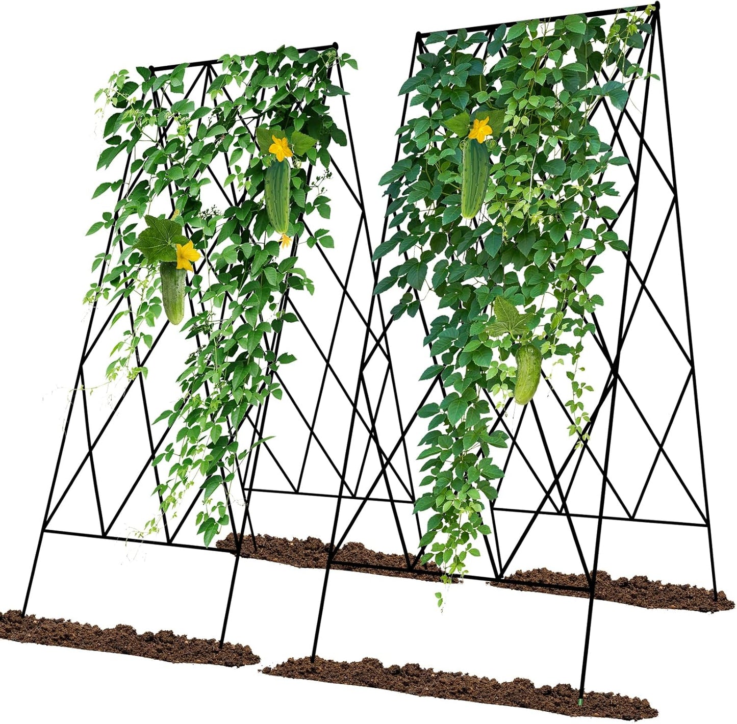 Cucumber Trellis 2 Pack for Raised Bed Garden Support System
