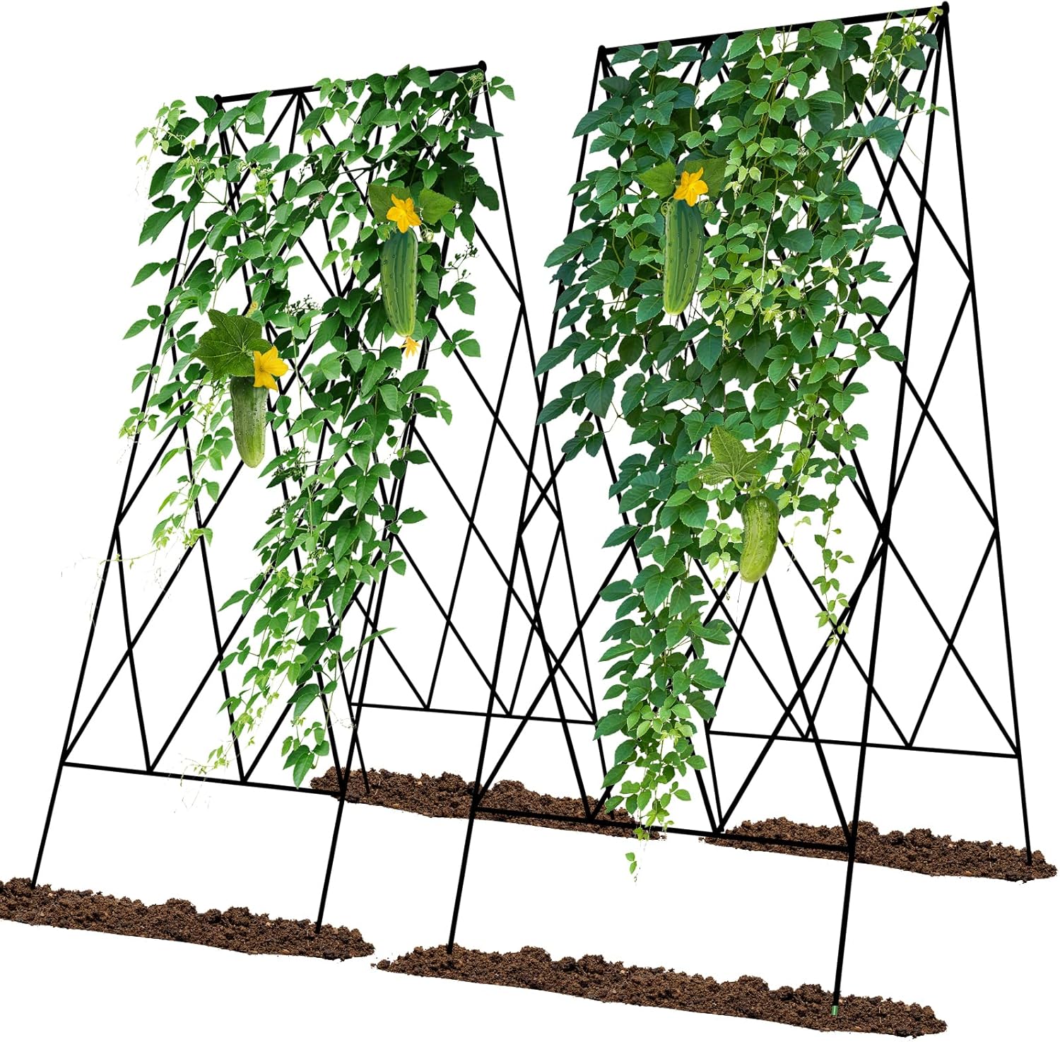 Cucumber Trellis 2 Pack for Raised Bed Garden Support System