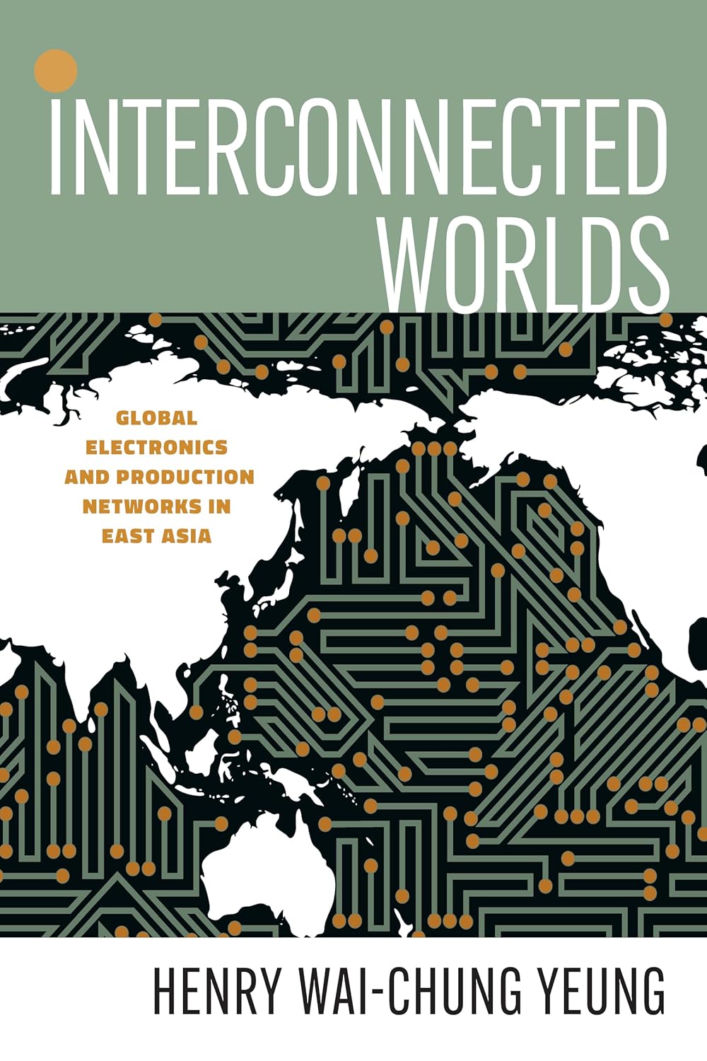 Interconnected Worlds: Global Electronics and Production Networks