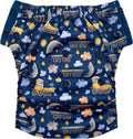 EcoAble Hybrid Cloth Diaper Pull-On Trainer - Daytime, Swim & Potty