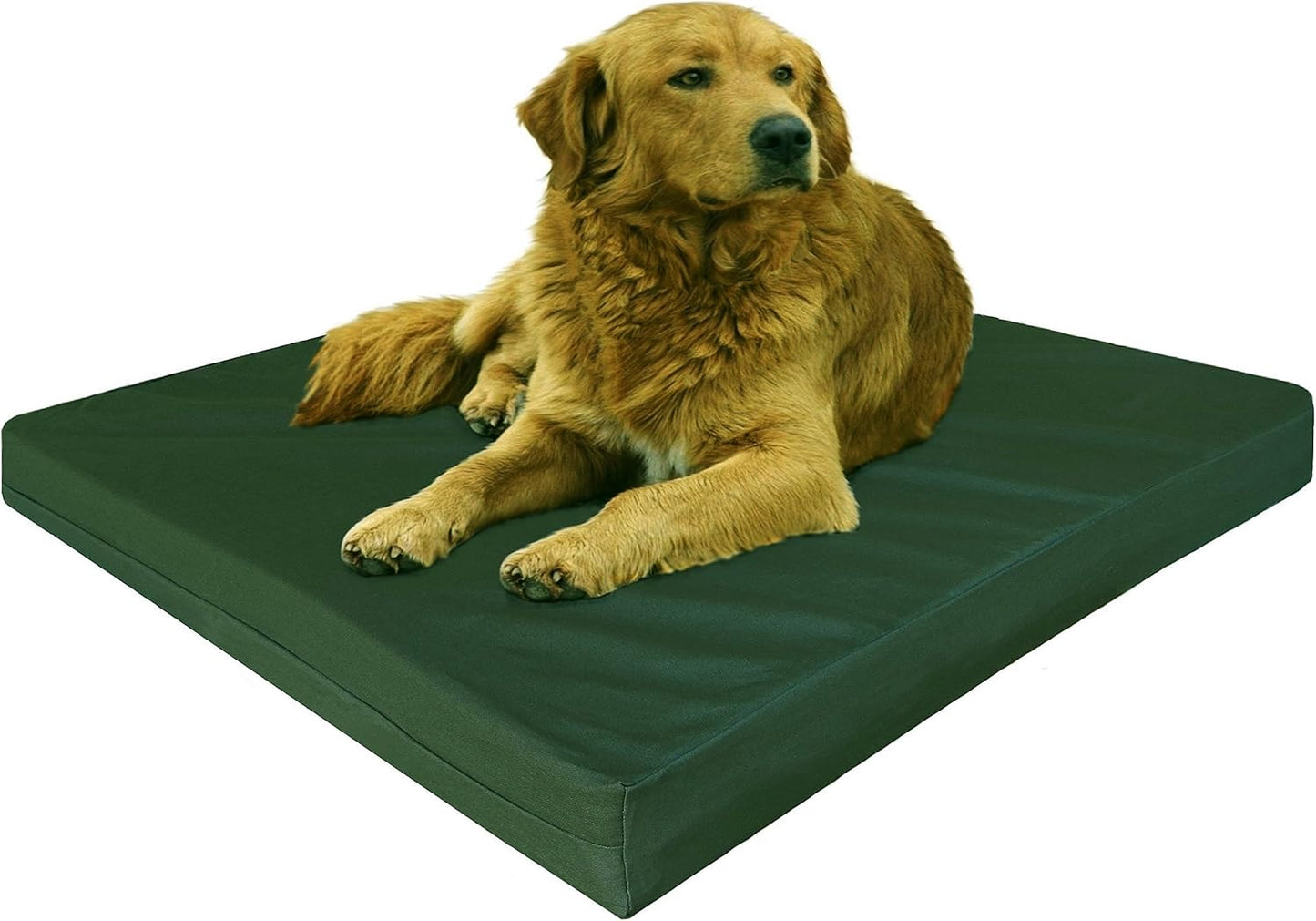Dogbed4less XL Orthopedic Waterproof Dog Bed for Large Dogs