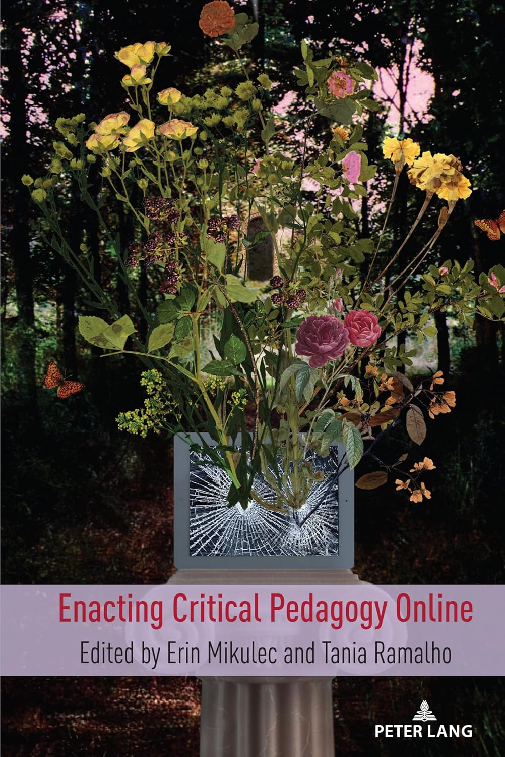 Enacting Critical Pedagogy Online: A Transformative Approach