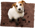 Soggy Doggy Doormat Ultra Absorbent Microfiber Chenille Mat