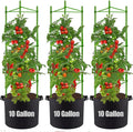 Tomato Cages with 10 Gallon Grow Bags 48 in 3-Pack - Adjustable