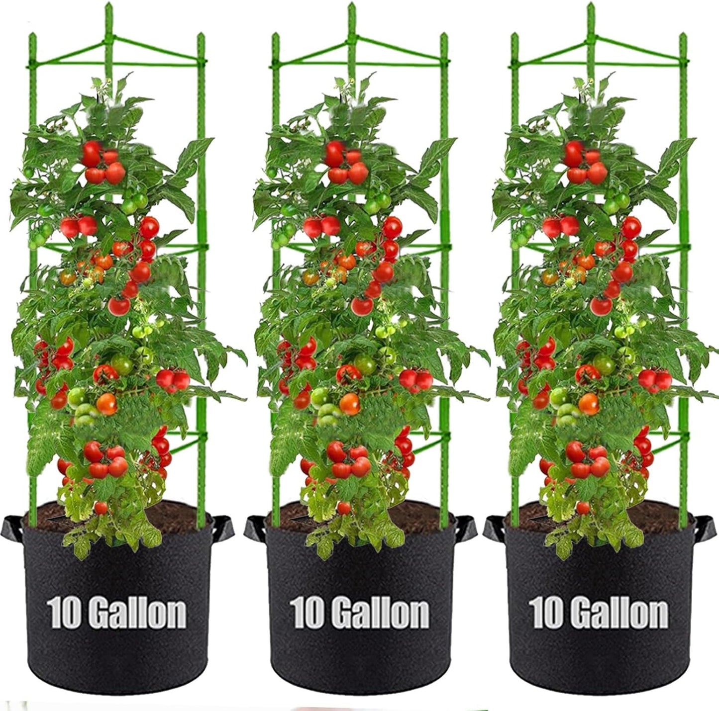Tomato Cages and Grow Bags for Effective Plant Support