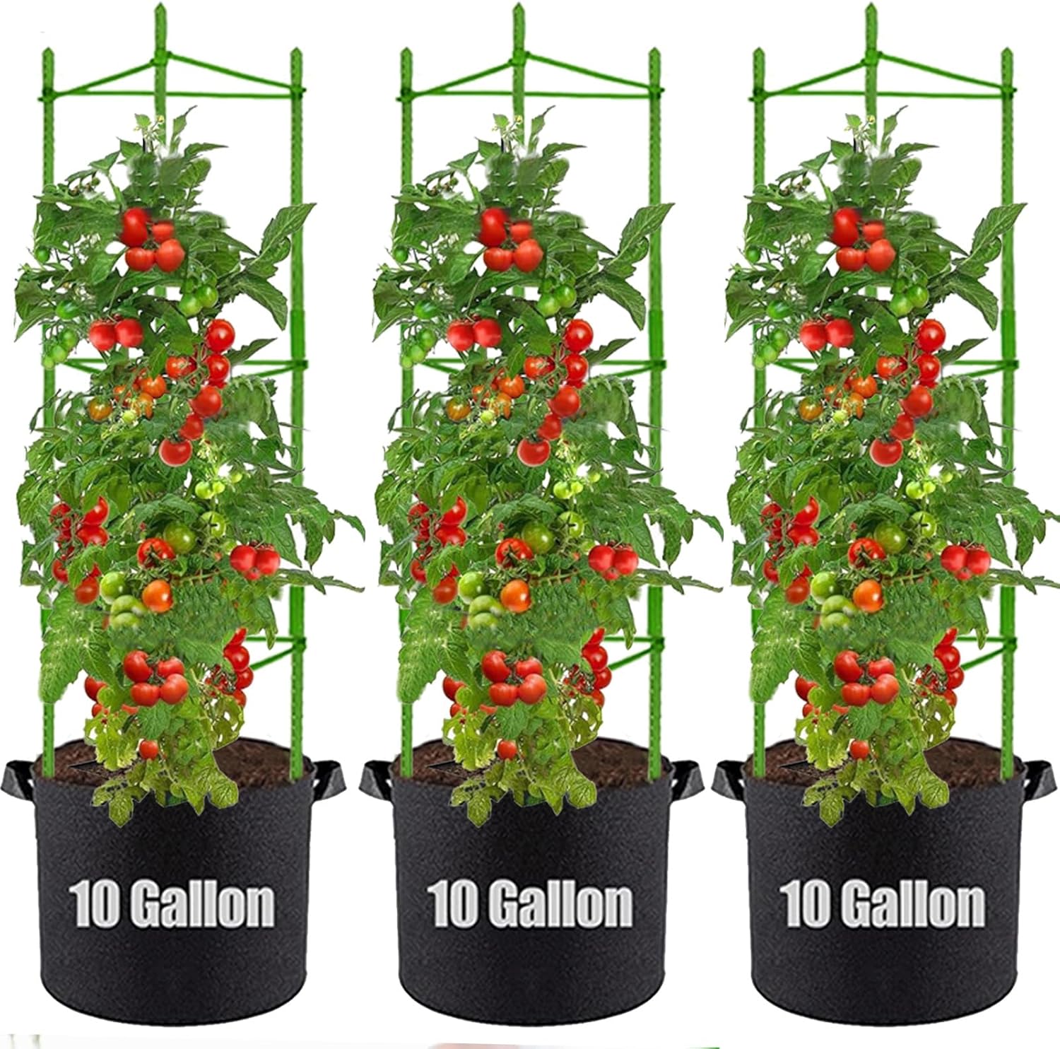 Tomato Cages and Grow Bags for Effective Plant Support