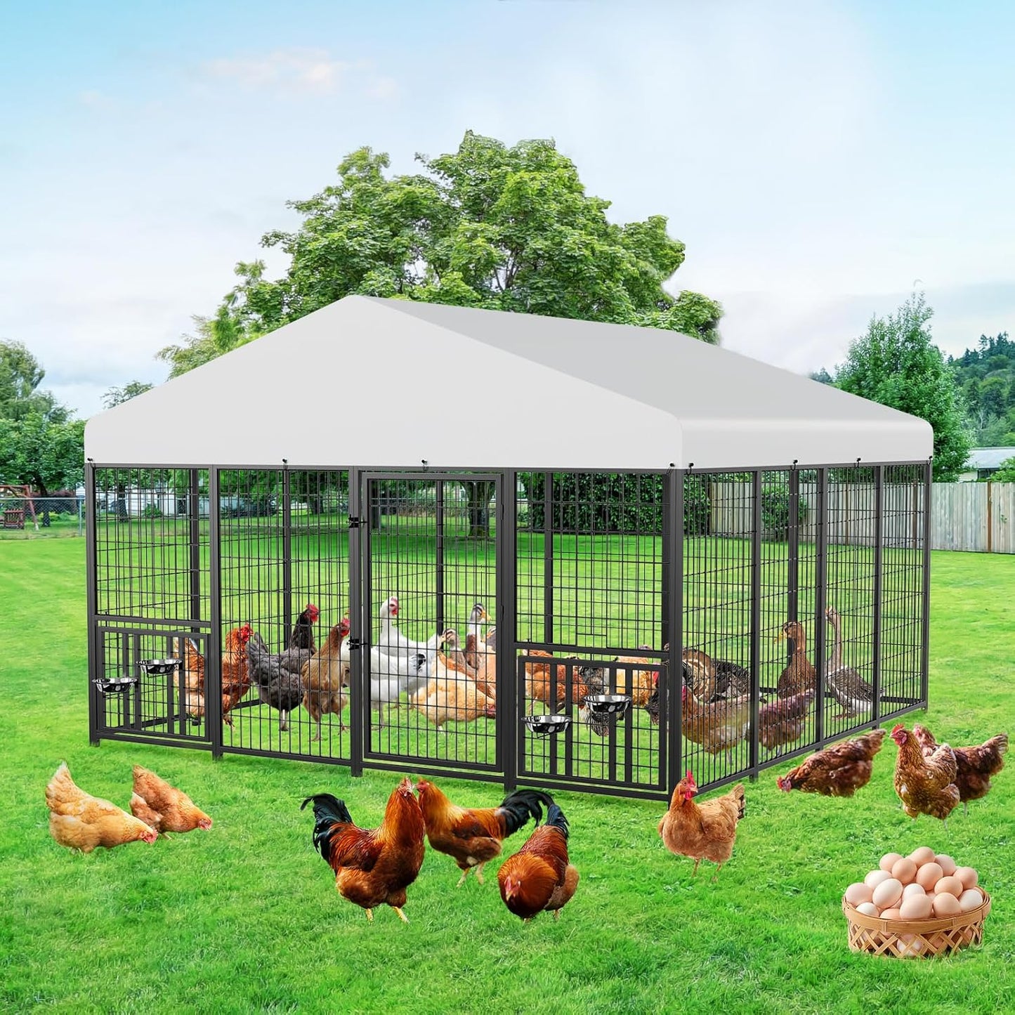 Large Metal Chicken Coop for 45 Chickens - ROOMTEC Quality