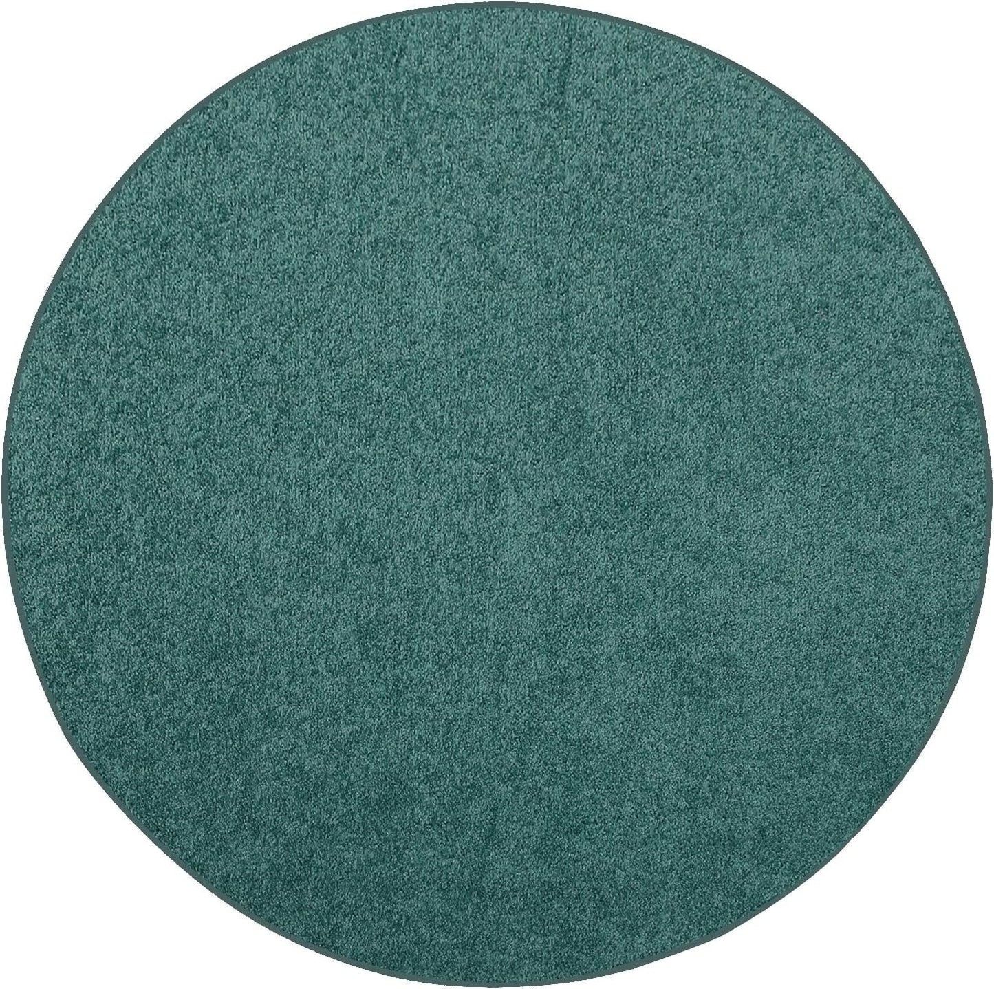 Teal Area Rug - Pet Friendly, Stain Resistant, Indoor Use