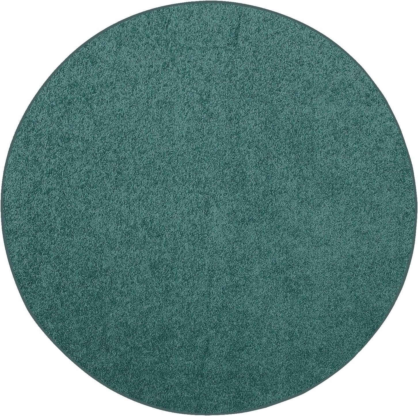 Teal Area Rug - Pet Friendly Solid Color for Any Room