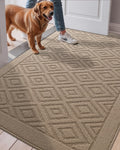 LUMI Washable Indoor Entrance Doormat 36x60 - Low Profile Absorbent