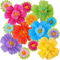 Tissue Paper Flowers 48 Pcs 20in Rainbow Pom Poms - Party Backdrop