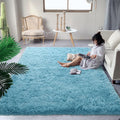 DweIke Fluffy Sky Blue Rugs for Bedroom and Living Room Decor