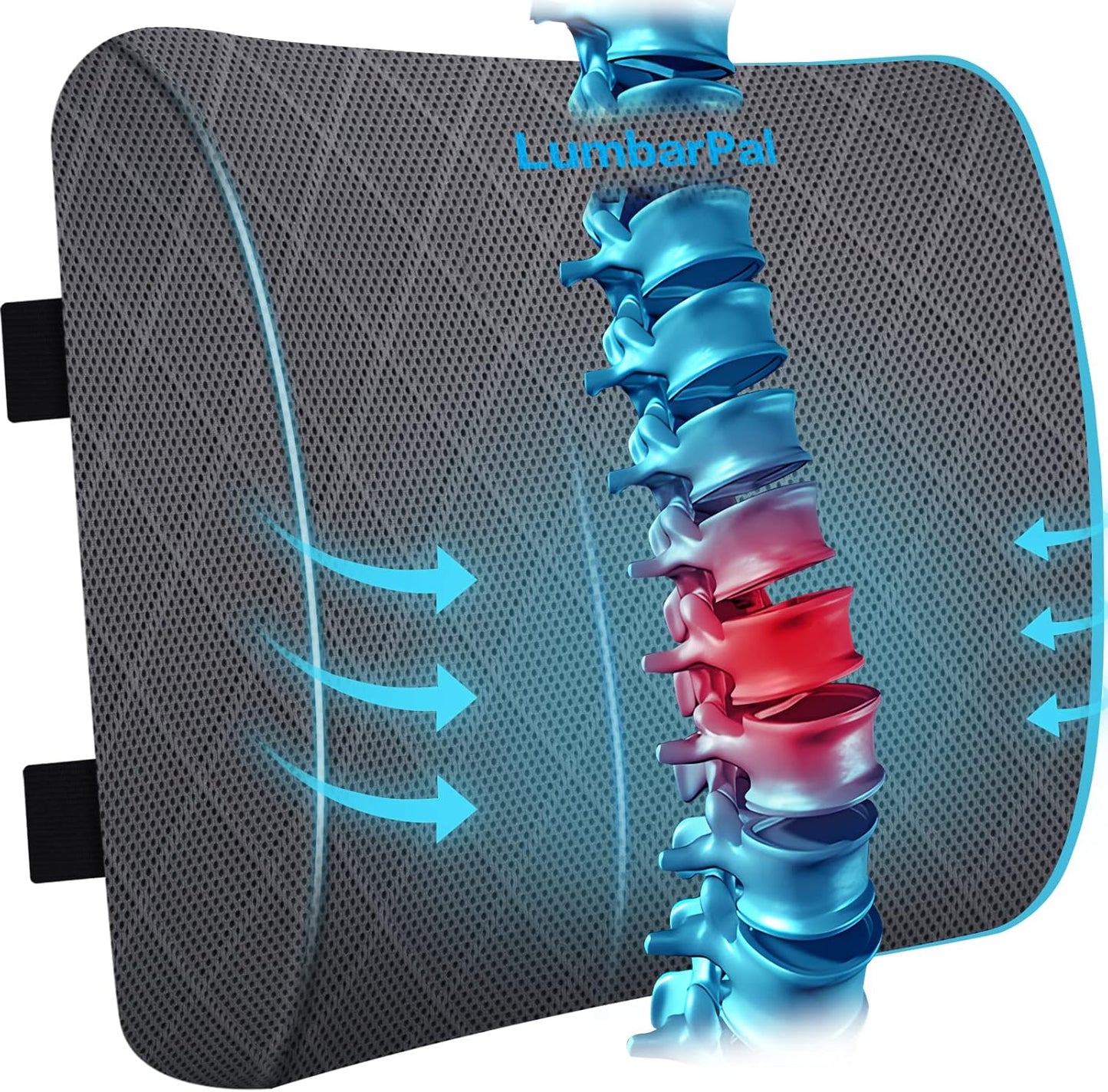 Comfort+ Relief: LumbarPal - Improve Posture