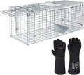 ANT MARCH Live Animal Cage Trap 32in x 11.5in x 13in - Humane Rodent