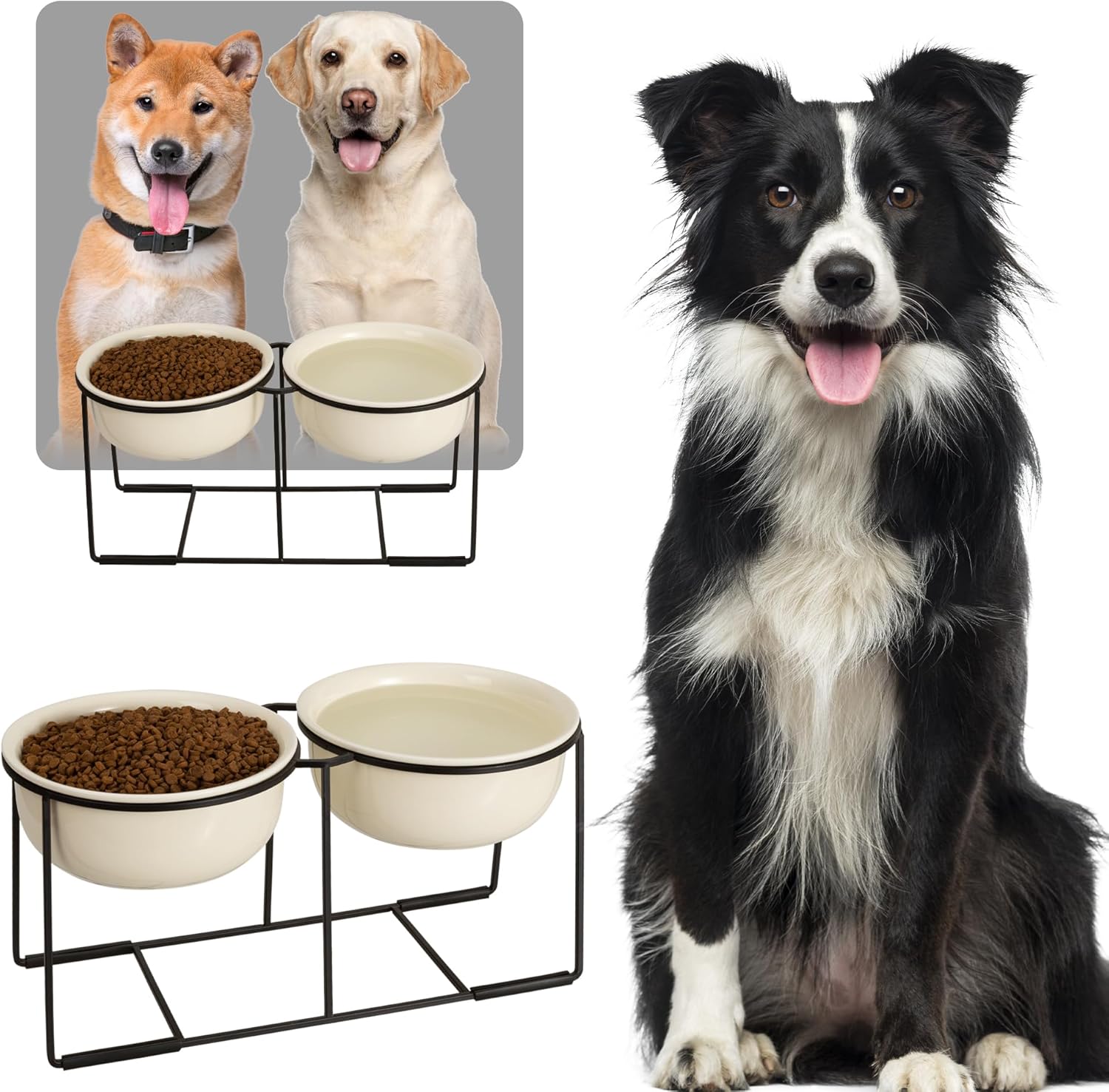 Elevated Dog Bowl Set for Medium and Large Dogs - Beige