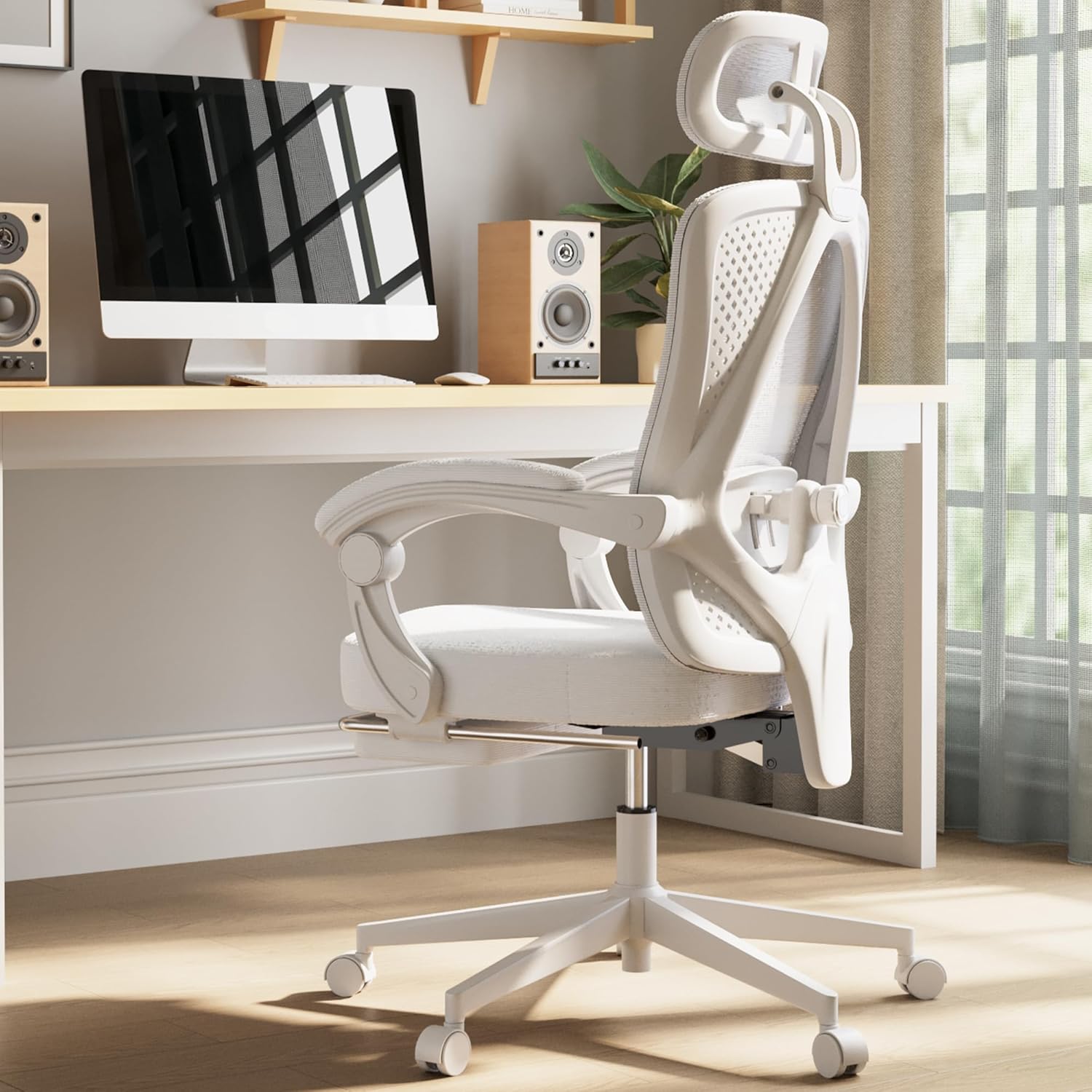 Dowinx Ergonomic Office Chair with Adjustable Lumbar Support