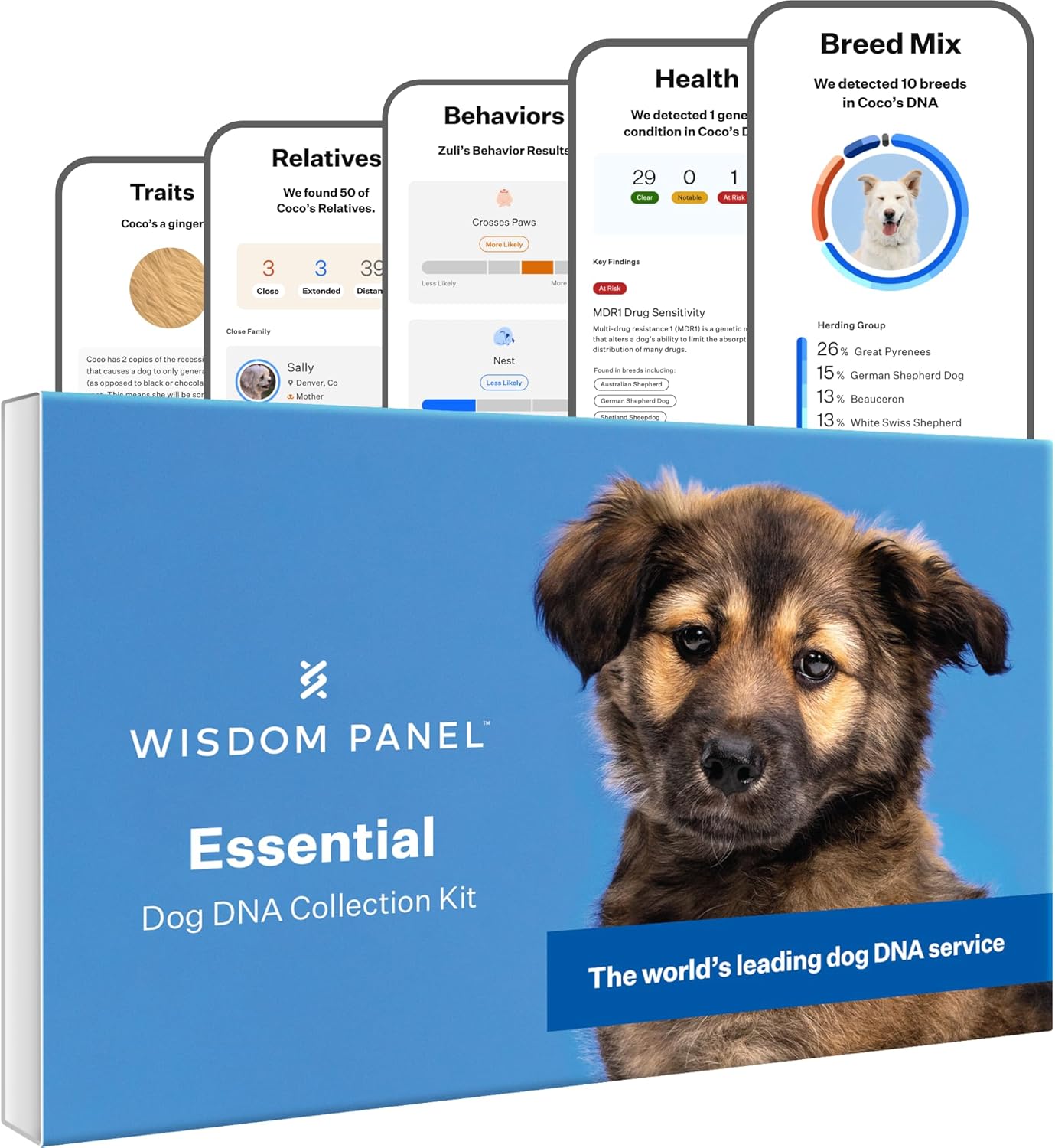 Wisdom Panel Essential Dog DNA Kit for Accurate Breed Insights